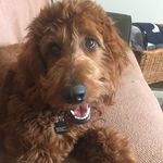 Eileen McHugh - @emchugh105 - Instagram