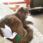Eileen McIntosh - @eileenmcintosh33 - Instagram