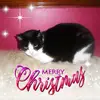 Eileen Mcintosh - @eileenmcintosh3 - TikTok