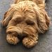 Eileen Mckay - Facebook