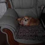 Eileen Mckee - @eileen8681 - Instagram