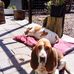 Eileen McKenzie - Facebook