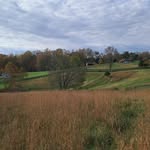 Eileen McLain - @eileenmclain65 - Instagram