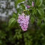 Eileen McShane Verboys - @et_moments25 - Instagram