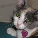 McShane Eileen - @eileen.mcshane.3 - Instagram