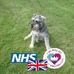 Eileen Meadows - Facebook