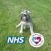 Eileen Meadows - Facebook