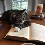 Eileen Meadows - Facebook