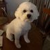 Eileen Mellor - Facebook