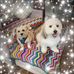 Eileen Meloney - Facebook