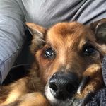 Eileen Reilly Melo - @eileenmeloo - Instagram