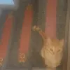 eileenjinetmelo13 - @eileenjinetmelo0 - TikTok