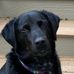 Eileen Majurinen-Meredith - Facebook