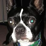 Eileen Meredith Tredway - @ept618 - Instagram