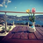 Eileen Middleton - @eileenmiddletonq00 - Instagram