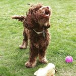 Eileen Middleton - @loislittlebear_and_eils - Instagram