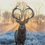 Eileen Miley Yeatman - @leemileyyeatman - Instagram