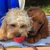 Eileen Millar - Facebook
