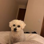 Eileen Milne - @eileen.milne.7 - Instagram