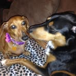 Eileen Mintz - Facebook