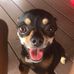 Eileen Moffitt - Facebook