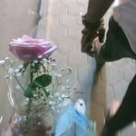 𝒆𝒊𝒍𝒆𝒆𝒏 𝒎𝒐𝒉𝒂𝒎𝒆𝒅 - @eileenmohamed18 - Instagram