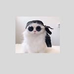 𝑽𝒂𝒏𝒊𝒍𝒍𝒂 🐼🖤 - @eileen_mohamed_ - Instagram