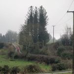 Eileen Monaghan - @eileen.monaghan.33 - Instagram