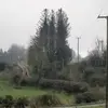 Eileen Monaghan - @eileen.monaghan4 - TikTok