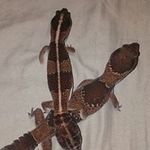 Eileen Monahan - @eileen.monahan.98 - Instagram