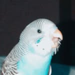 Eileen - @eileenmonroepittman - Instagram