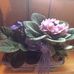 Eileen Monroe - Facebook