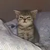 Ariadna2085 - @eileenmora_ - TikTok