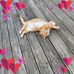 Eileen May Marak - Facebook