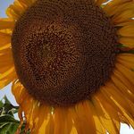 Eileen Morley - @eileen.morley.7967 - Instagram