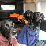 Eileen Morley - @eileen.morley - Instagram