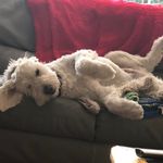 Eileen Morris - @eileenmor - Instagram
