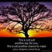 Eileen Morrison - Facebook