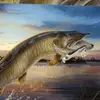 Eileen Morse - @pike_fishing1000 - TikTok