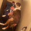 Cole Mortenson - @cole_mortenson - TikTok