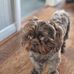 Eileen Morton - Facebook