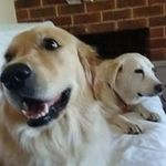 Eileen Morton - @eileenmaymorton - Instagram