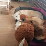 Eileen Morton - @eileenmorton7 - Instagram