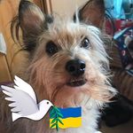 Eileen Morton - @eileen4891 - Instagram