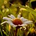 Eileen Morton - Facebook