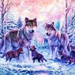 Eileen Moser - @eileen.moser.3154 - Instagram
