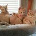 Eileen Mott - Facebook