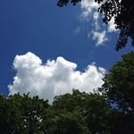 Eileen Nagle Green - @eileeng189 - Instagram