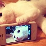 Eileen Navarro - @eileen04_99 - Instagram