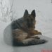 Eileen Neumann - Facebook